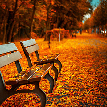 推荐一个轰炸电话软件免费版在线轰炸