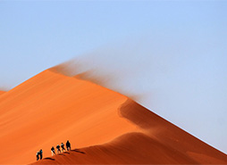 短信验证码轰炸平台免费