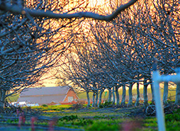 在线接收云短信验证码