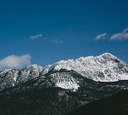 在线接收云短信验证码